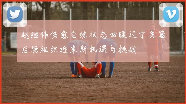 赵继伟伤愈合练状态回暖辽宁男篮后场组织迎来新机遇与挑战